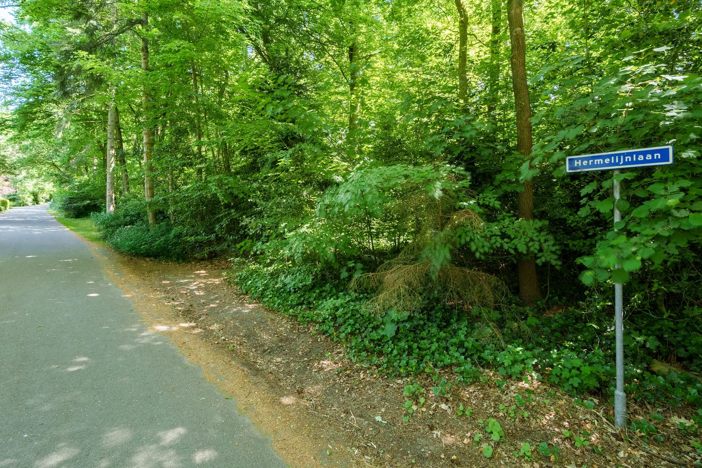 Photo 35 of Hermelijnlaan 3