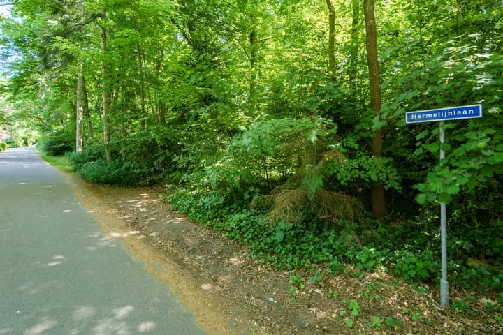 Foto 35 van Hermelijnlaan 3