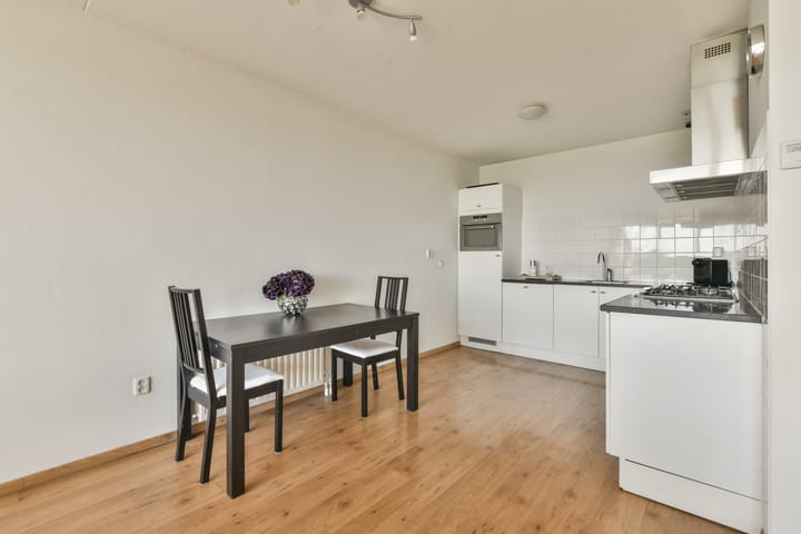 Foto 6 van Rosa Spierlaan 206