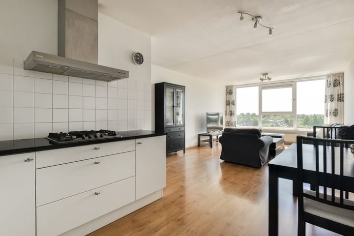 Foto 8 van Rosa Spierlaan 206