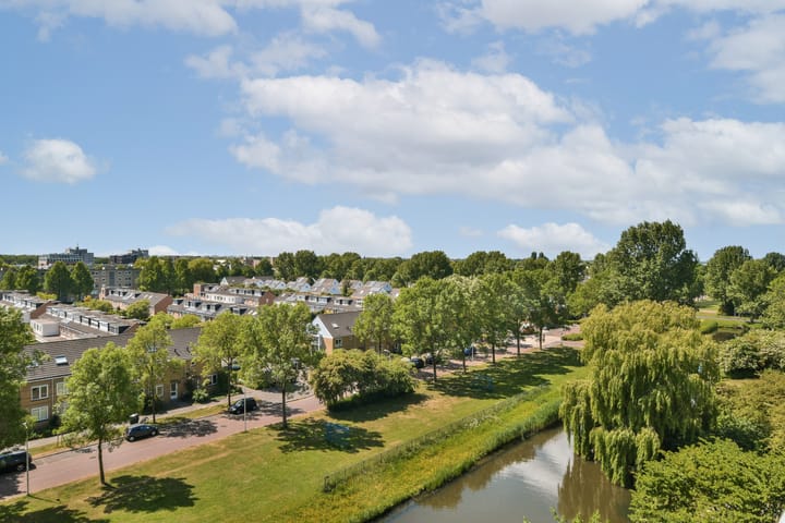 Foto 11 van Rosa Spierlaan 206