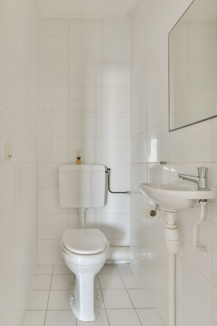 Foto 17 van Rosa Spierlaan 206