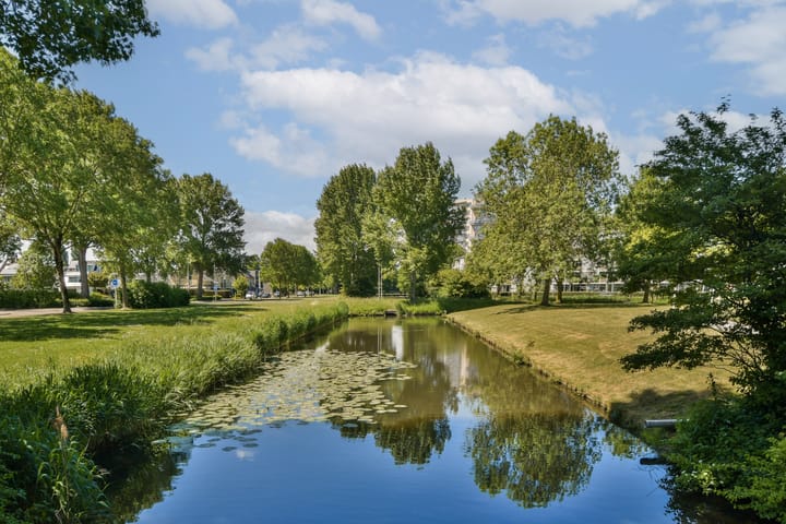 Foto 22 van Rosa Spierlaan 206