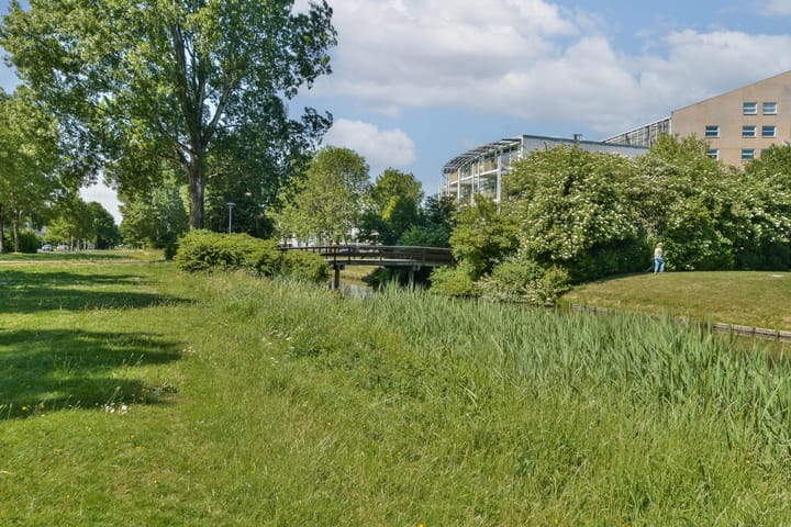 Foto 24 van Rosa Spierlaan 206