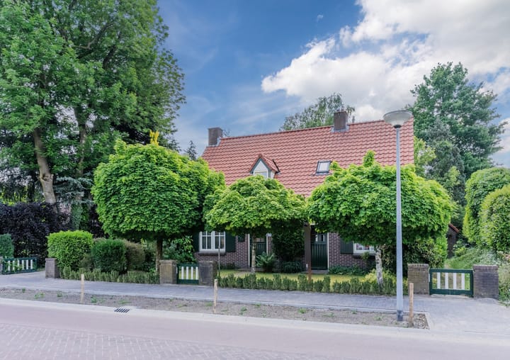 undefined main image