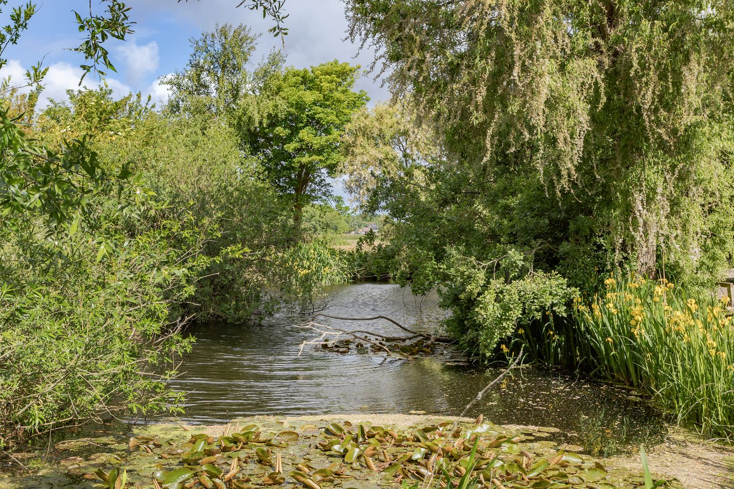 Foto 40 van Hoelmerdijk 4