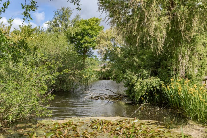 Photo 40 of Hoelmerdijk 4