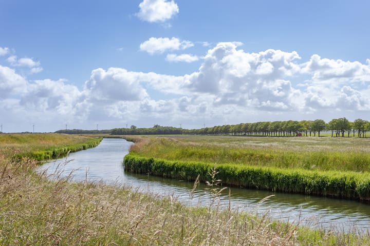 Photo 43 of Hoelmerdijk 4