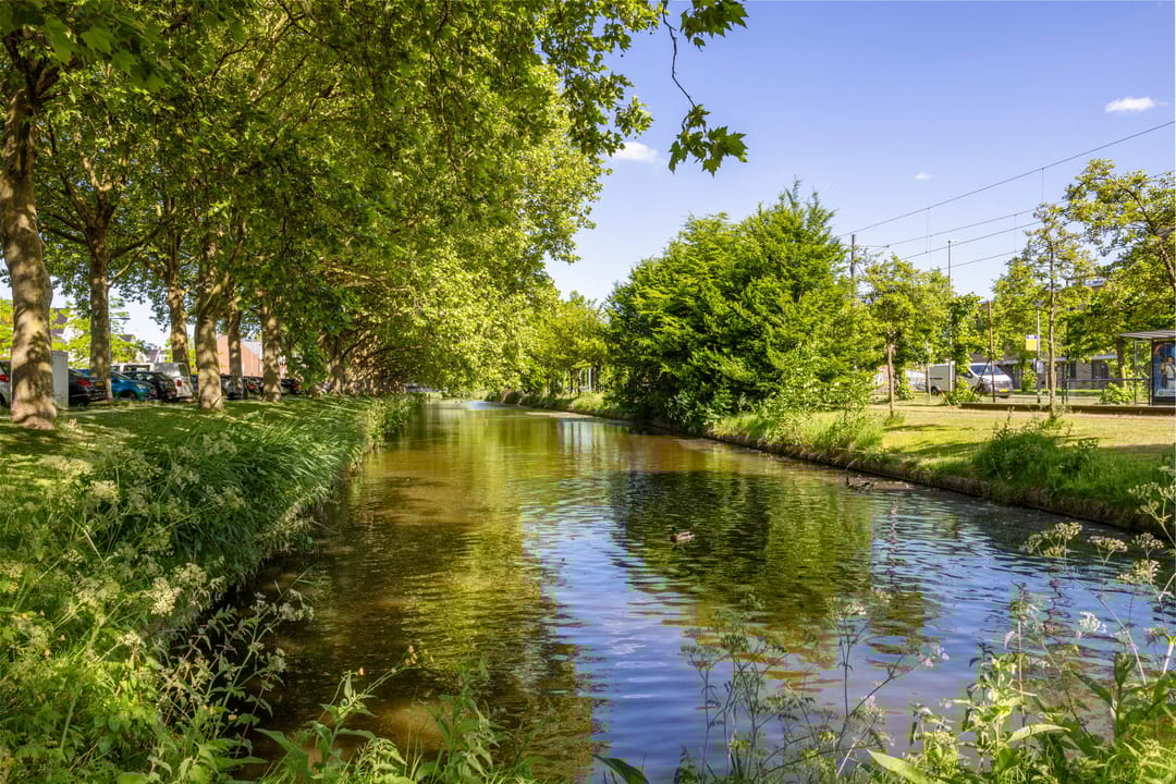 Foto 41 van Hugo de Grootstraat 91