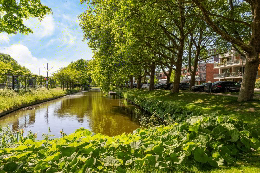 Foto 43 van Hugo de Grootstraat 91