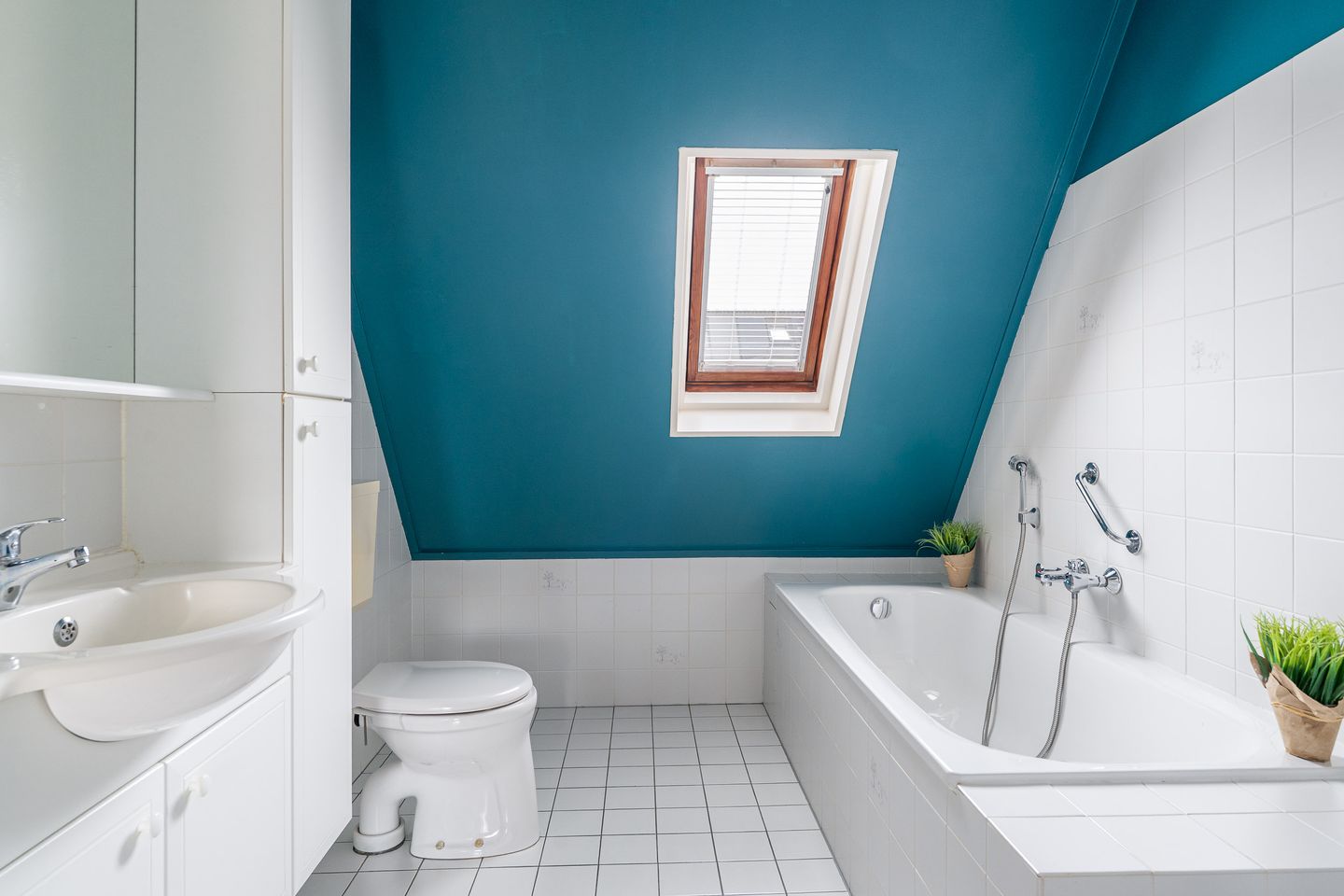 Foto 29 van Romptastrjitte 13