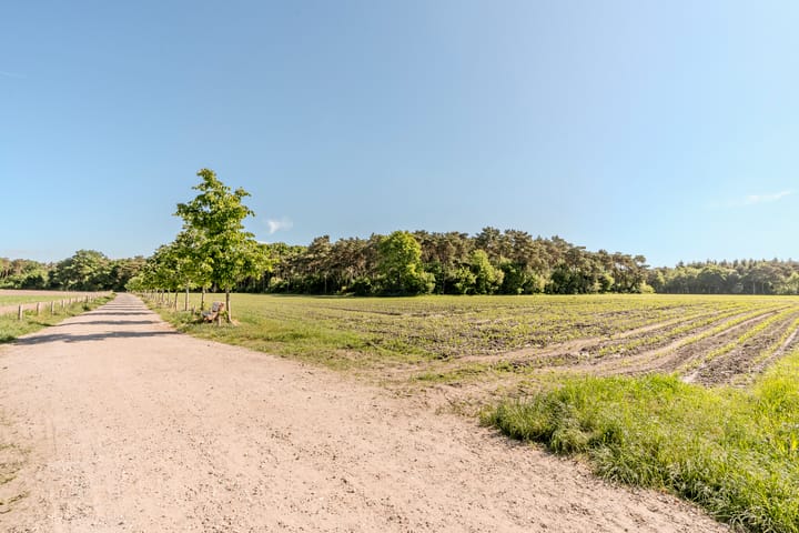 Foto 40 van Boekweitstraat 22