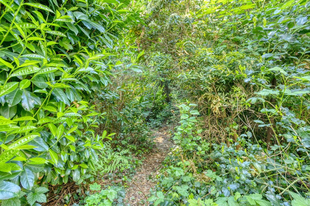 Foto 26 van St Leonardusstraat 102