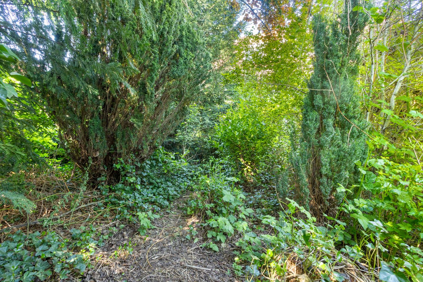 Foto 29 van St Leonardusstraat 102