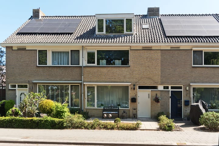 undefined main image