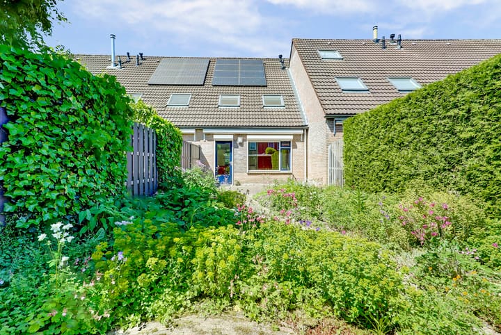 Foto 2 van Tylant 14