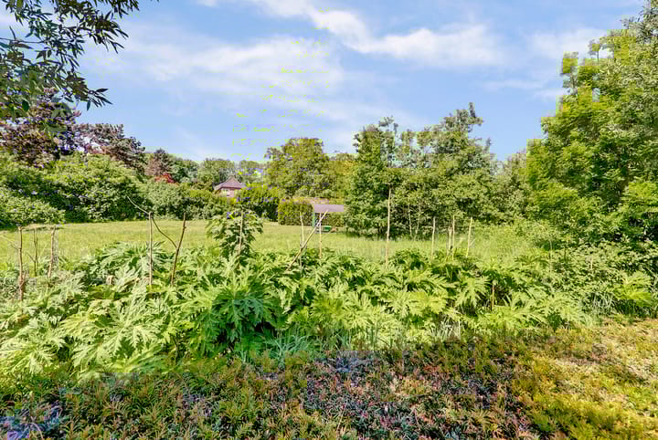 Foto 35 van Tylant 14