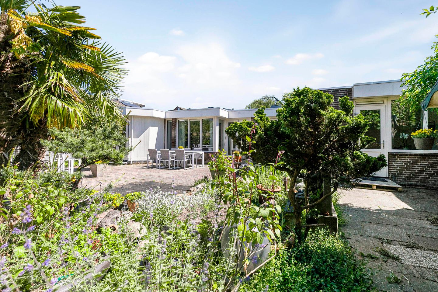 Foto 35 van Reitdiep 12