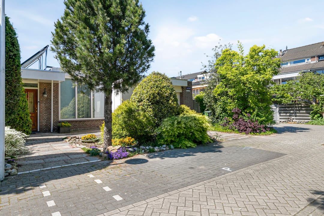 Foto 37 van Reitdiep 12