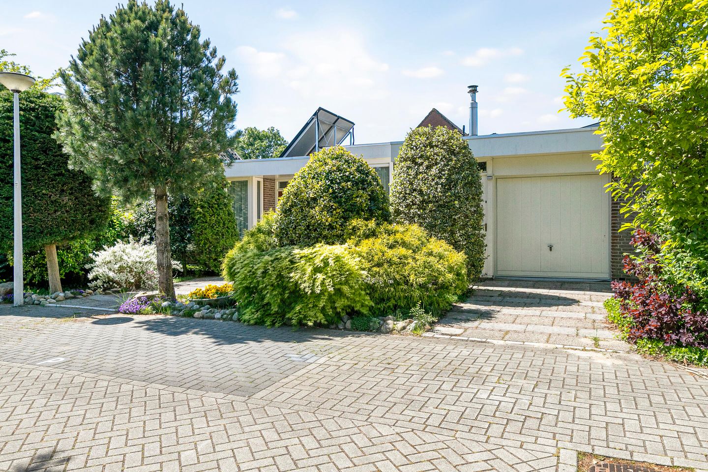 Foto 40 van Reitdiep 12