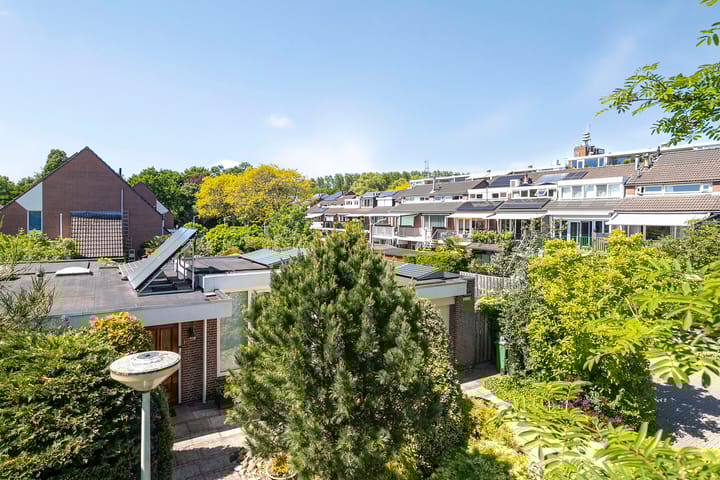 Foto 41 van Reitdiep 12