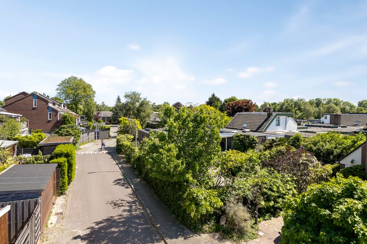 Foto 43 van Reitdiep 12