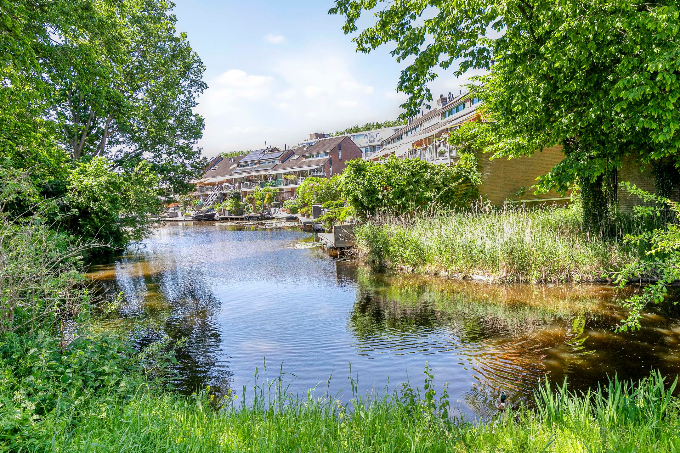 Foto 45 van Reitdiep 12