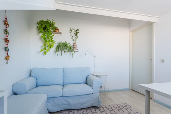 Foto 35 van Snoeklaan 24