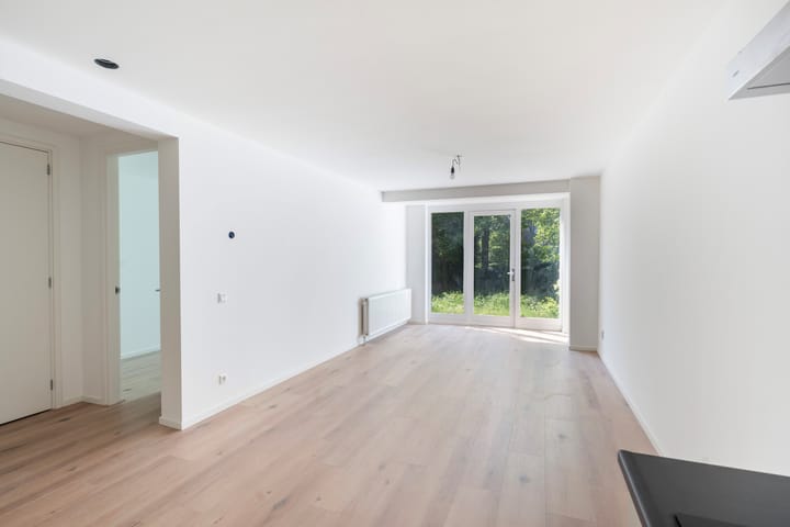 Foto 3 van Willem Buytewechstraat 166-D