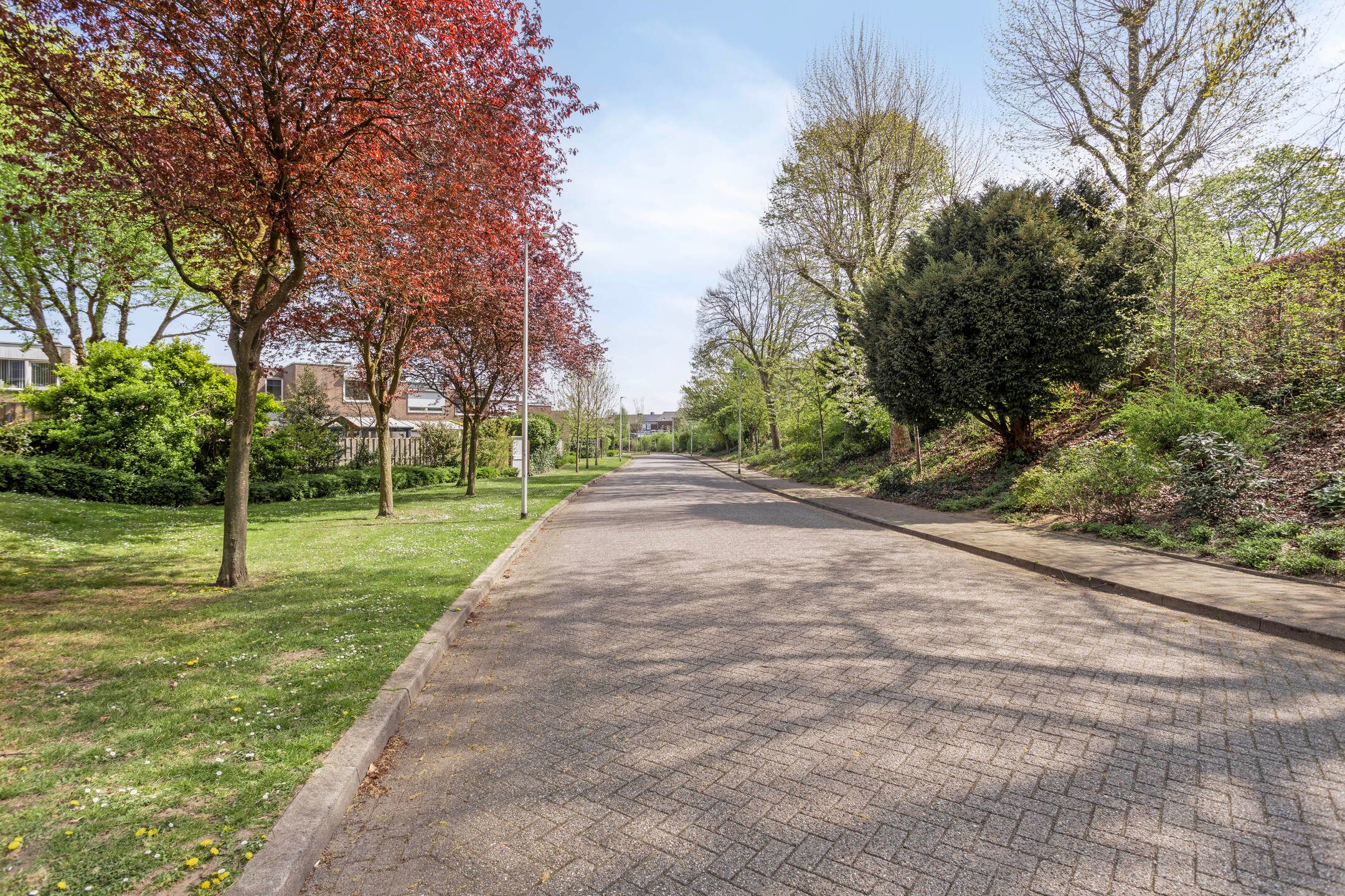 Foto 30 van Schachtstraat 15