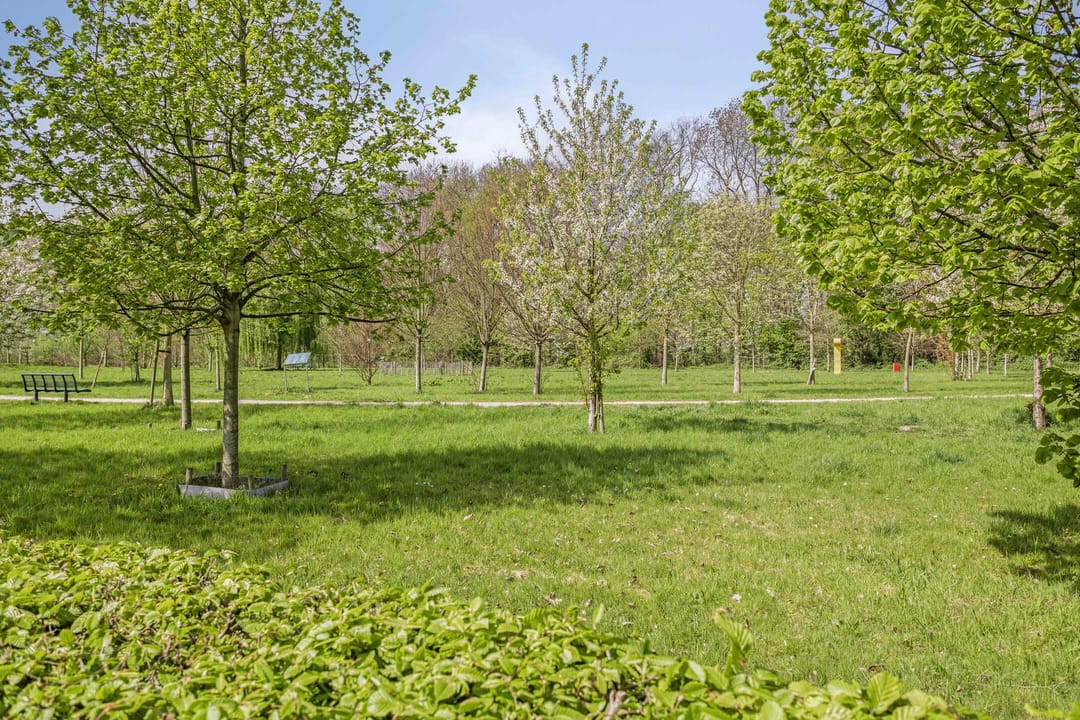 Foto 31 van Schachtstraat 15