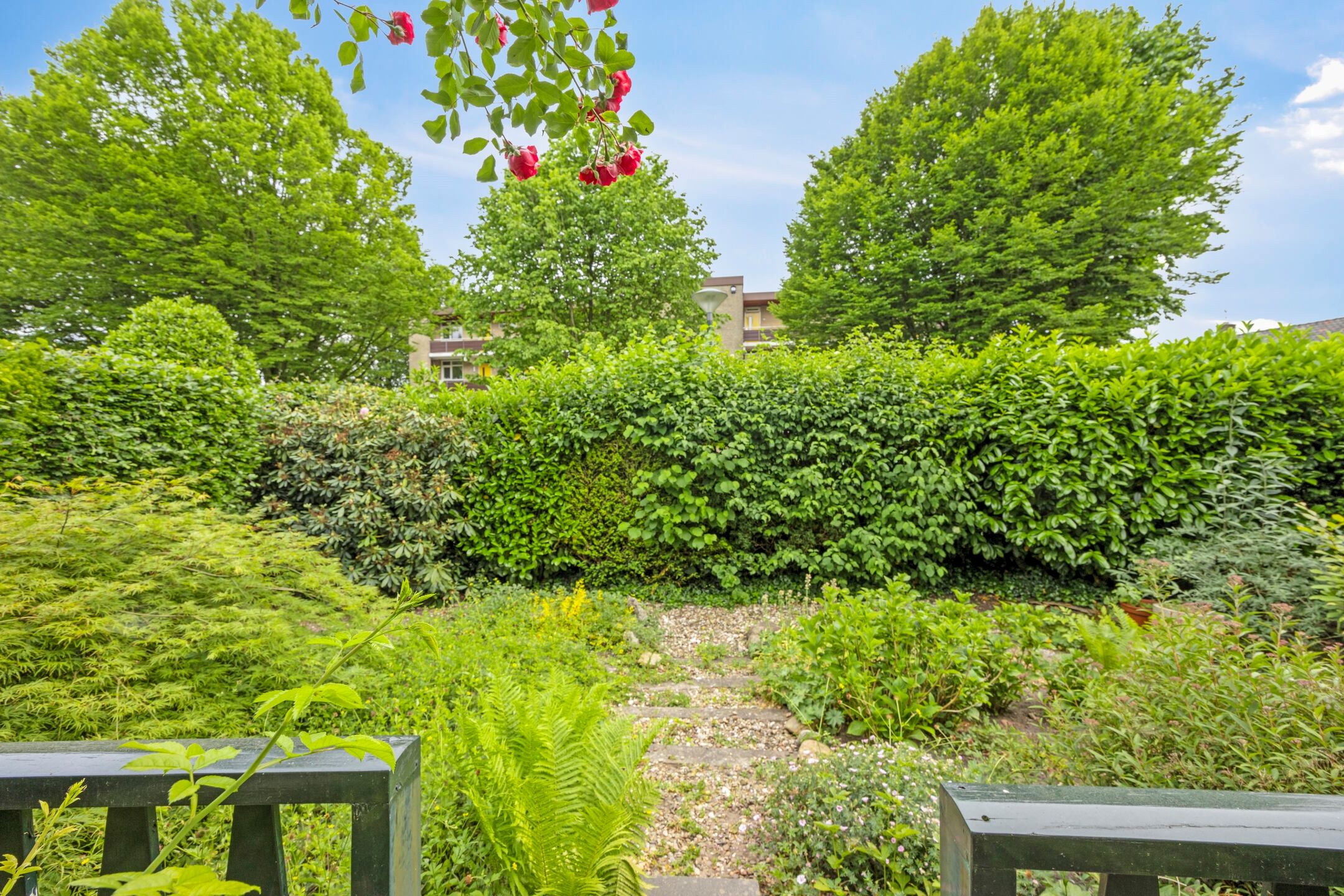 Foto 36 van Nieuwland 54