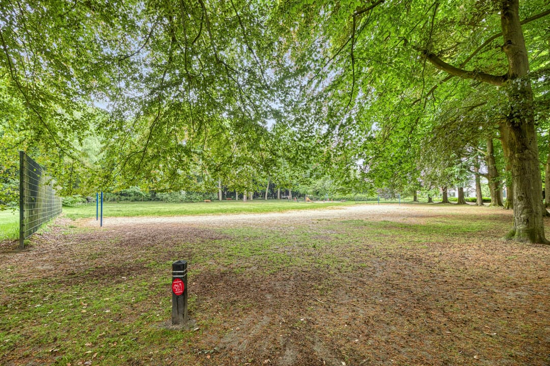 Foto 43 van Nieuwland 54