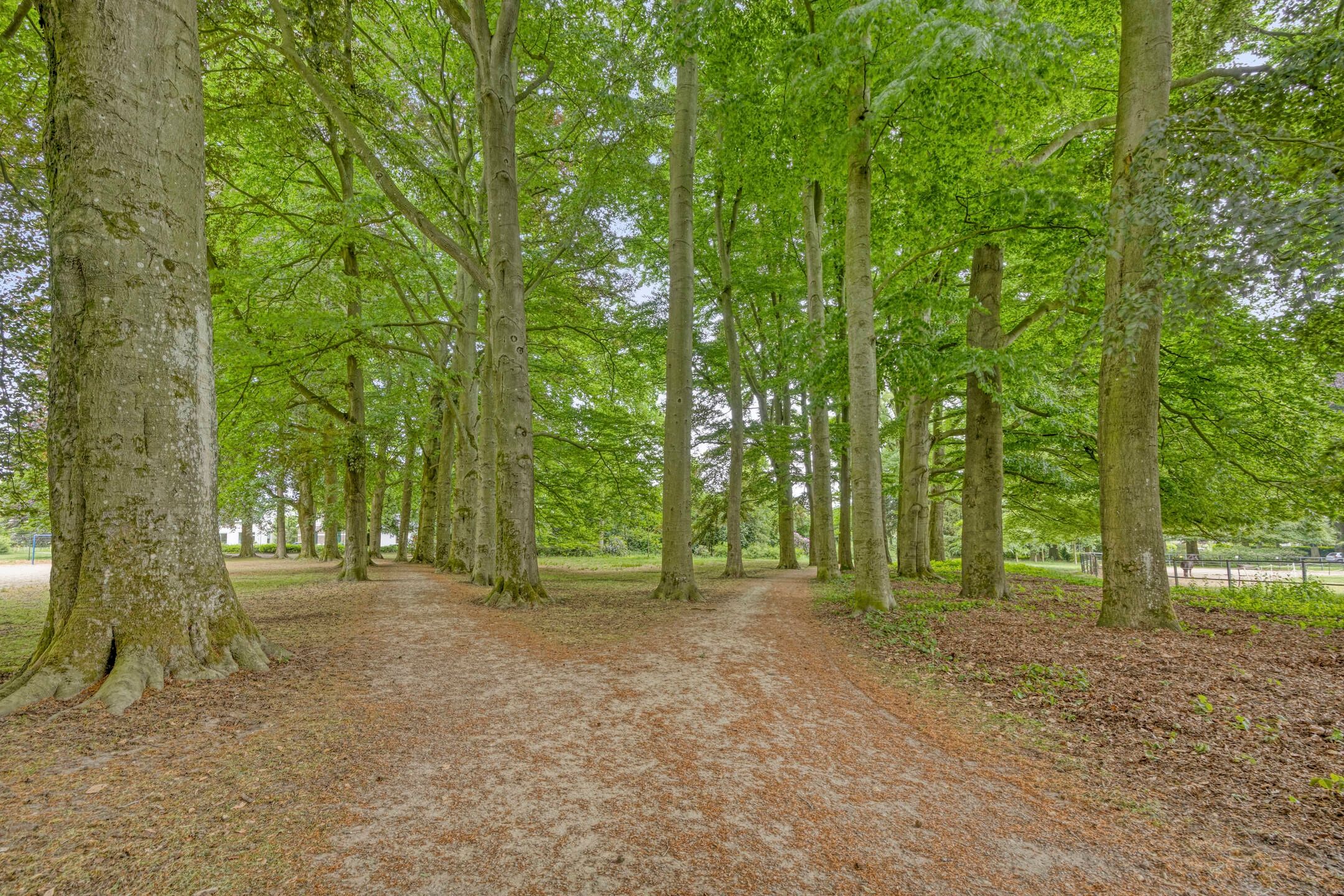 Foto 45 van Nieuwland 54