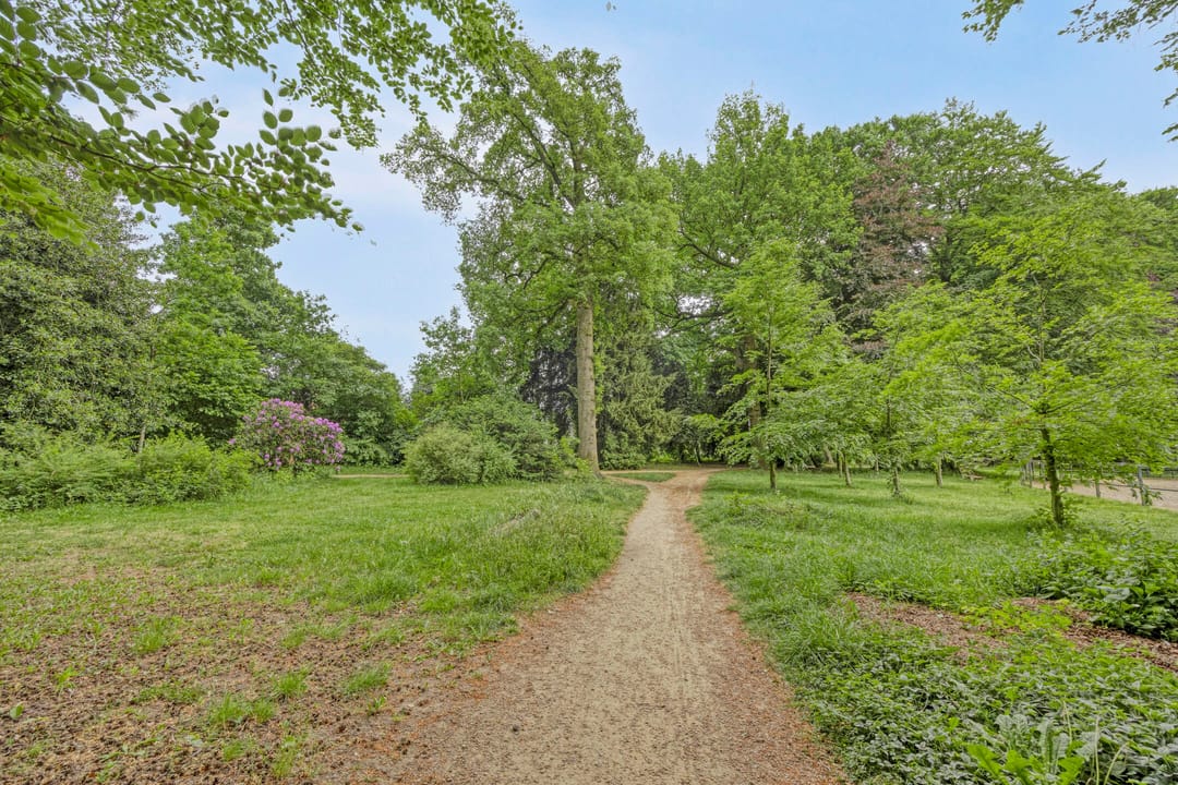 Foto 46 van Nieuwland 54