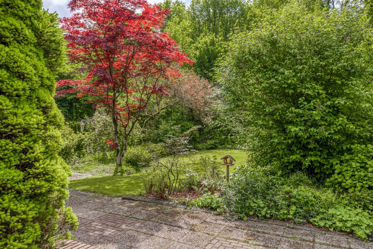 Foto 34 van Melkweg 12