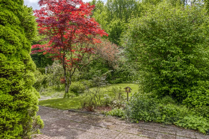 Foto 34 van Melkweg 12