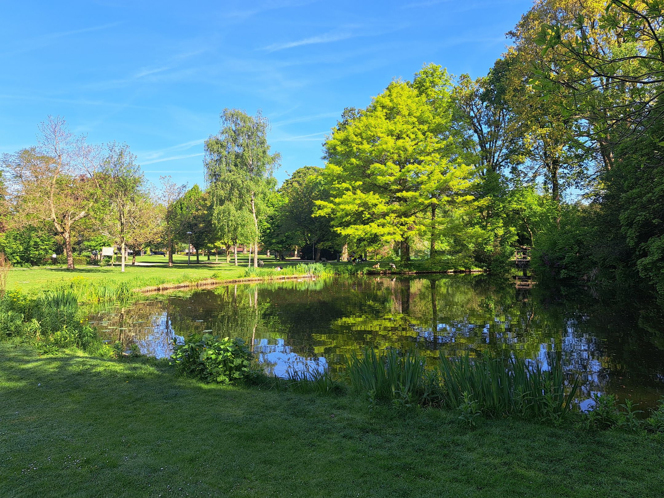 Foto 51 van Everard Meijsterlaan 67