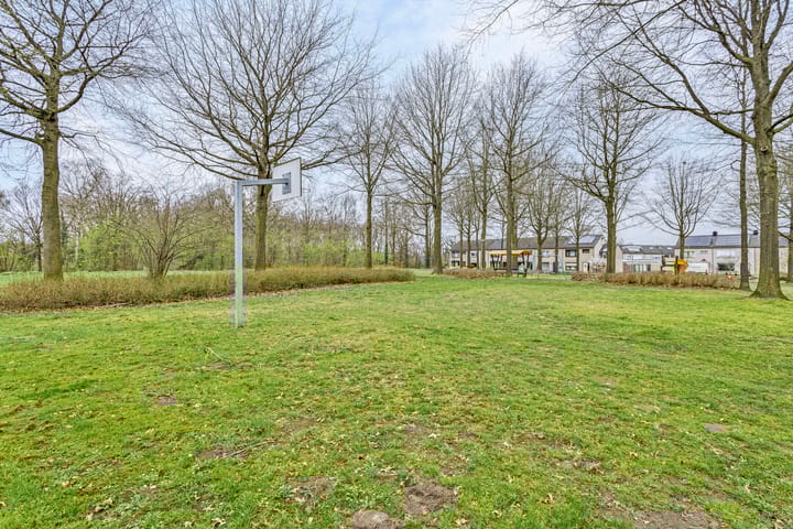 Photo 41 of Tuinhaversveld 3