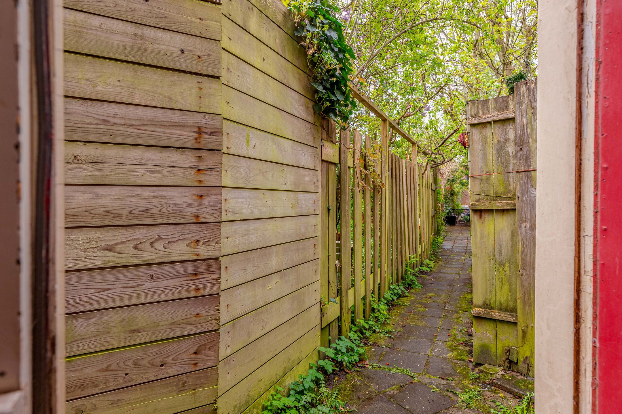 Foto 21 van Koekoekstraat 12