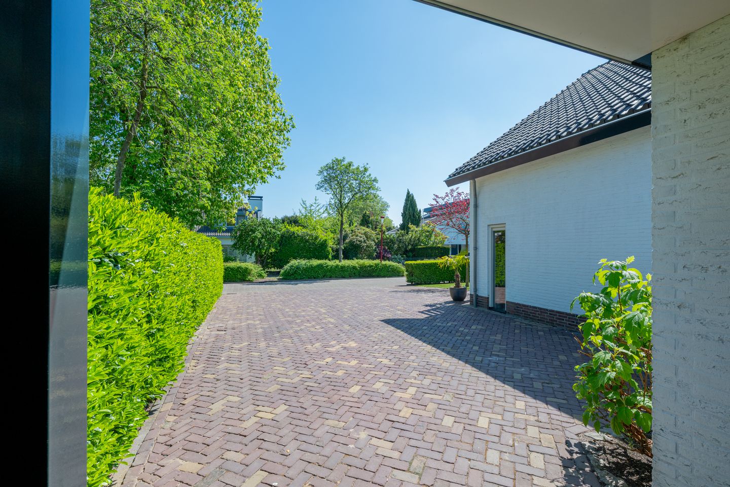 Foto 89 van Marisplantsoen 3