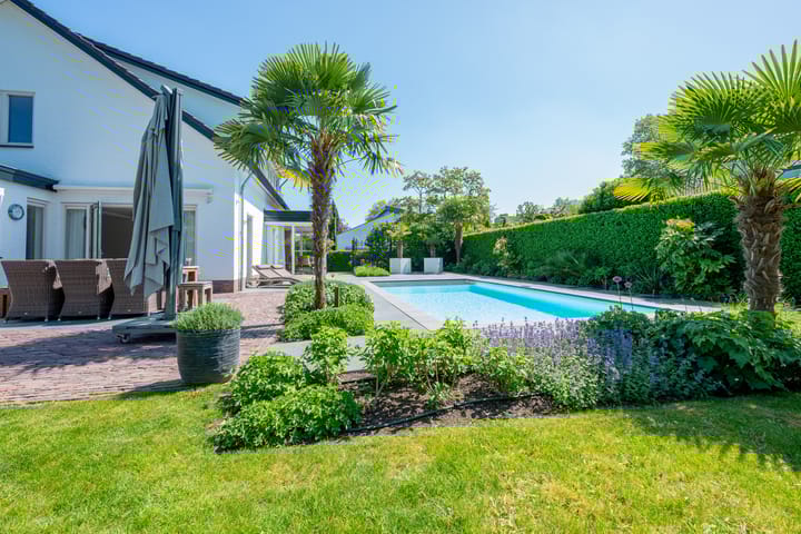 Foto 95 van Marisplantsoen 3