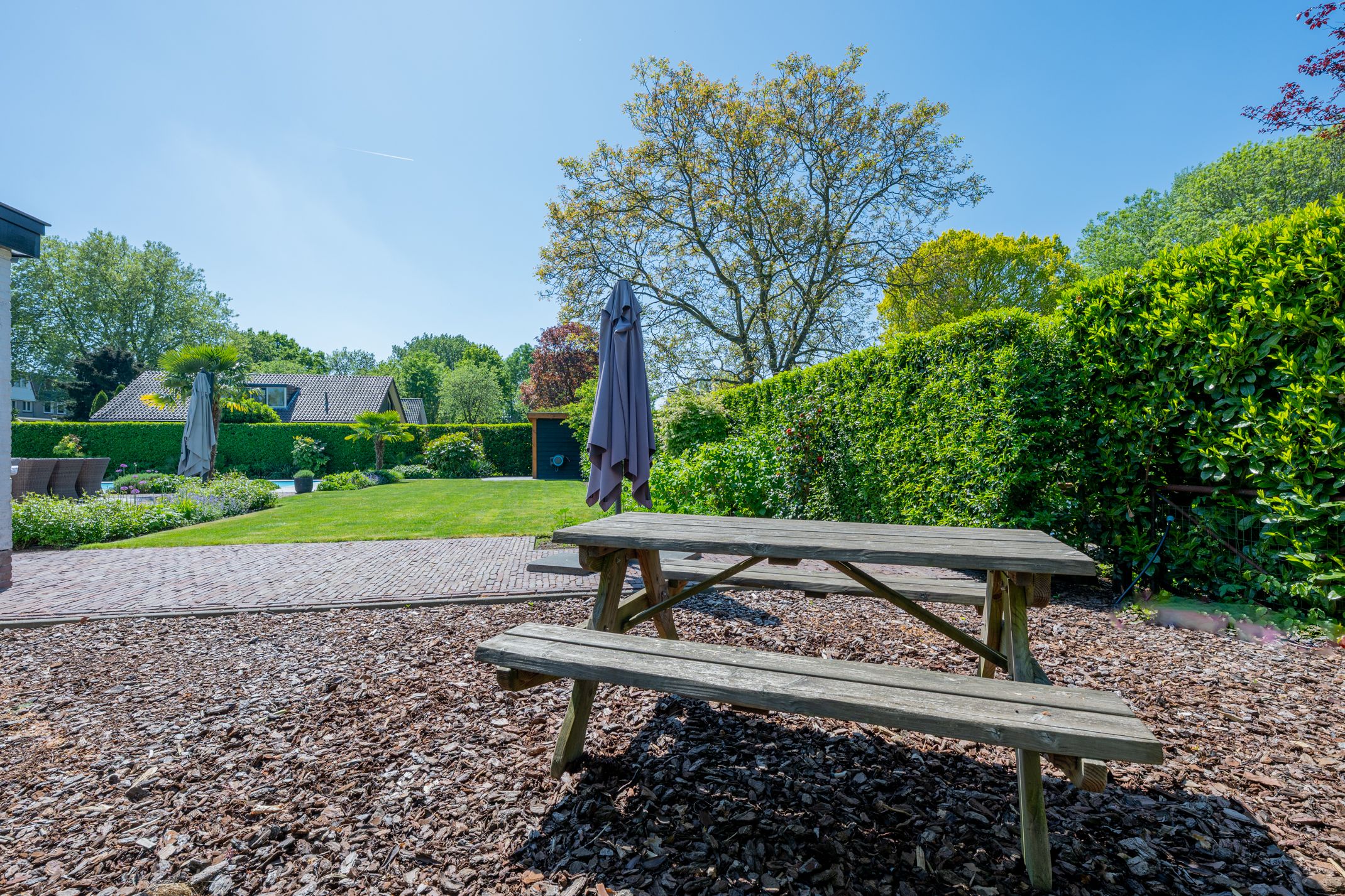 Foto 99 van Marisplantsoen 3