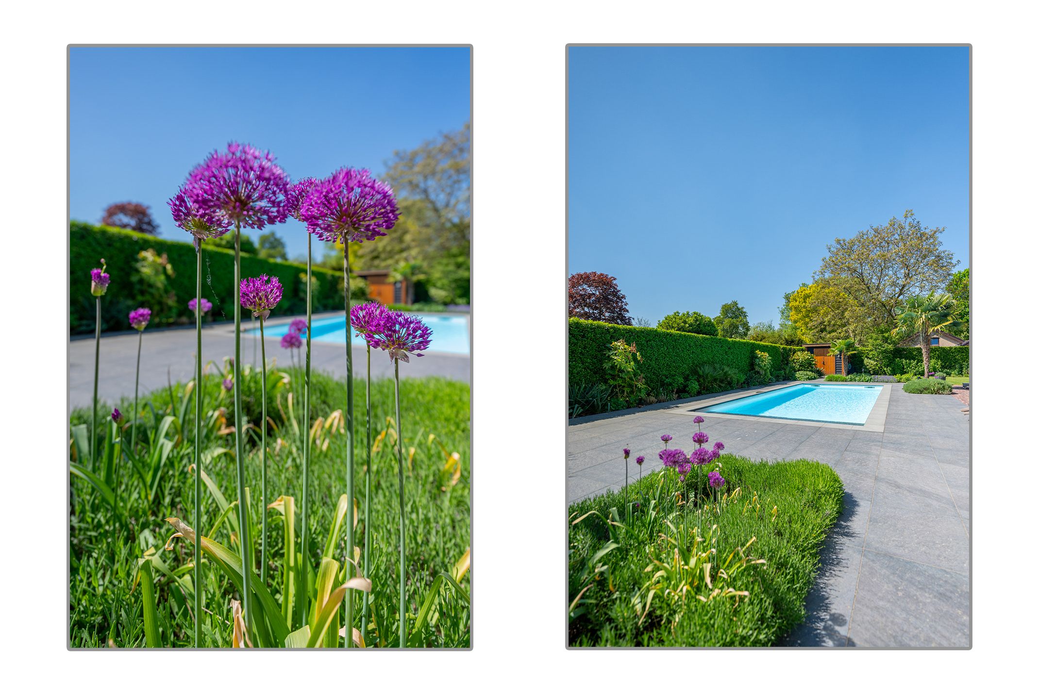 Foto 105 van Marisplantsoen 3