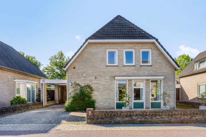 Foto 1 van Zaaiviool 10