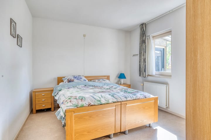 Foto 16 van Zaaiviool 10