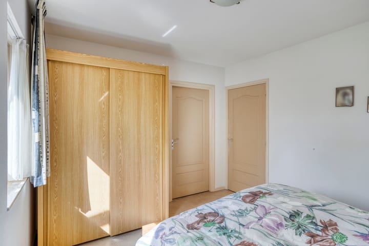 Foto 17 van Zaaiviool 10