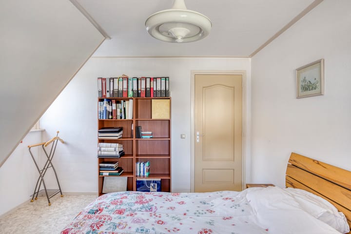 Foto 23 van Zaaiviool 10