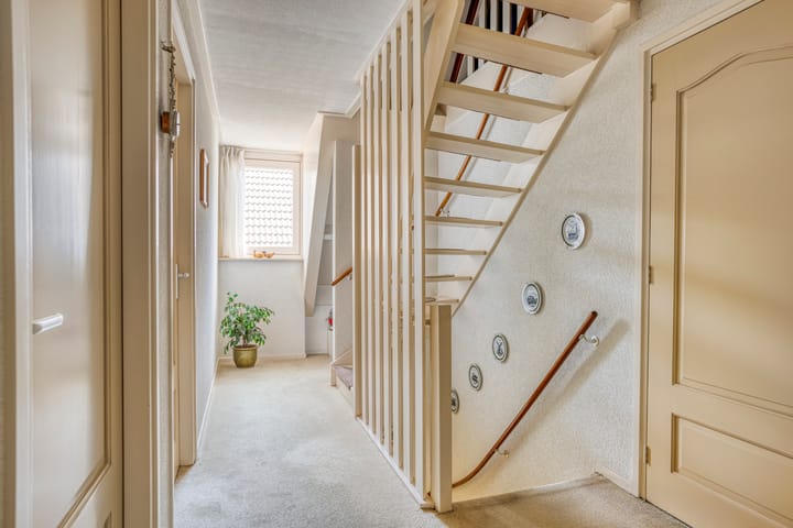 Foto 26 van Zaaiviool 10