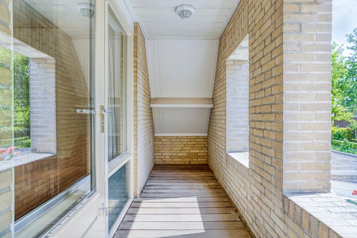 Foto 27 van Zaaiviool 10